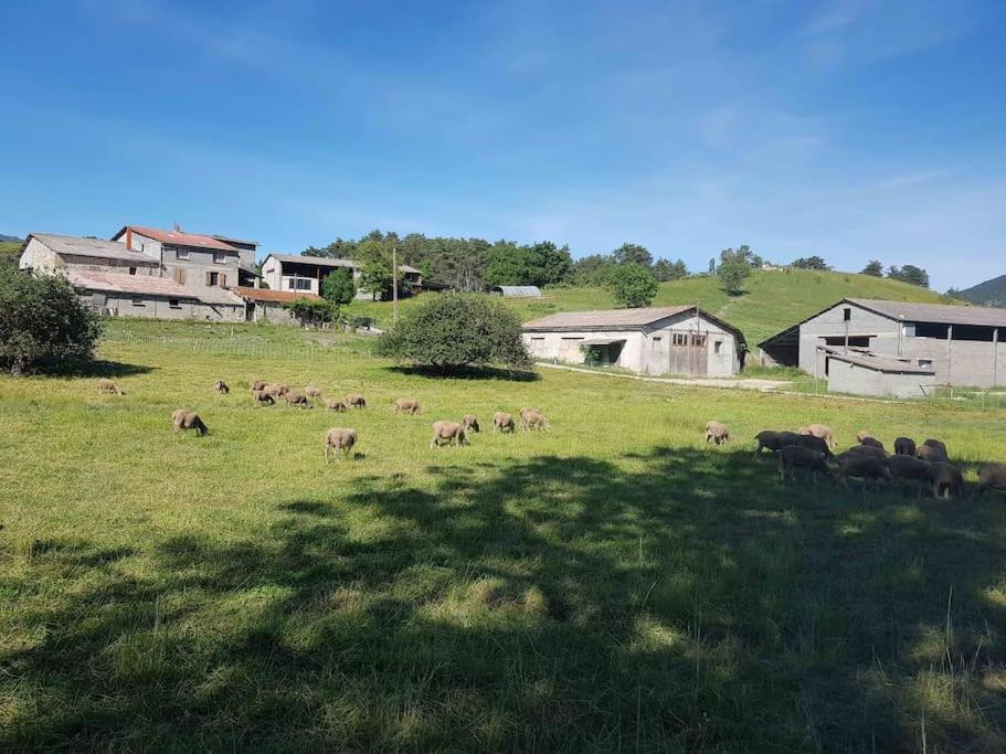 Gite Des Millets En Baronnies Rosans Eksteriør billede